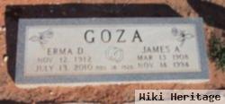 James A Goza