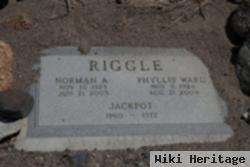 Norman A. Riggle