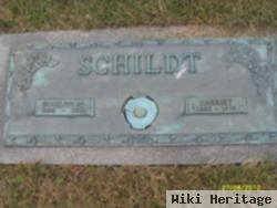 Mahlon M Schildt