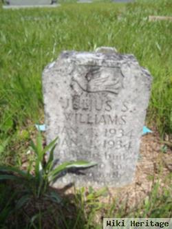 Julius S. Williams