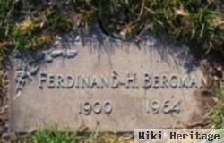 Ferdinand Hermann Bergmann