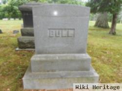 Henry Mott Bull