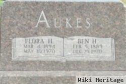 Benjamin Harrison "ben" Aukes