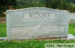 Elsie Ann Heath Blevins