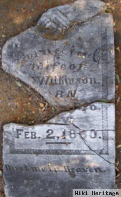 Cornelia C. Royse Wilkinson