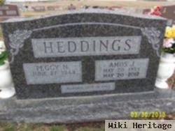 Amos Jewell Heddings