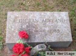 Arthur Dicran Ackland