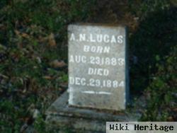 A. N. Lucas