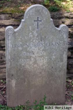 Lisa Norris Elkins