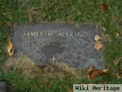 James Mcmeeking