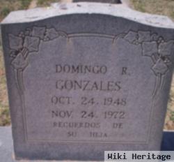 Domingo Gonzales, Jr