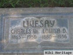 Louisa Dorothy Nehf Livesay