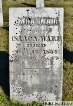 Johannah F. "hannah" Groenendyke Ware