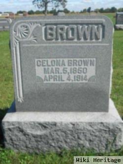 Celona Brown