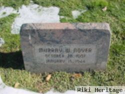 Murray W Noyer