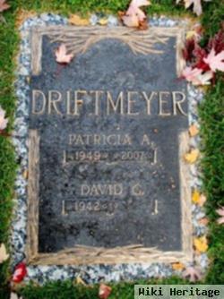 Patricia Ann Lommasson Driftmeyer