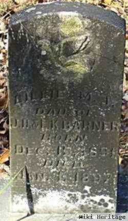 Lillie M.i. Barner