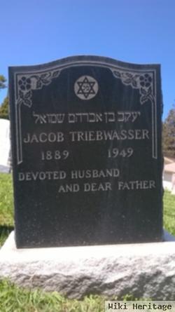 Jacob Triebwasser