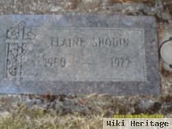 Elaine Wilson Shodin