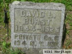 David Burst