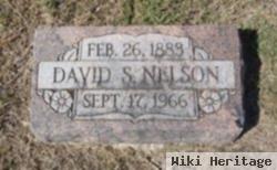 David S Nelson