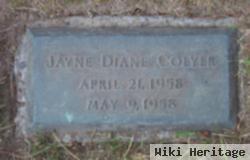 Jayne Diane Colyer