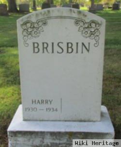 Harry Brisbin