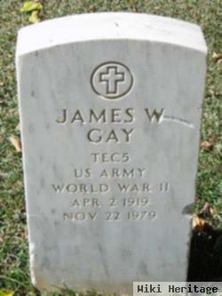 James W Gay