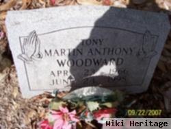 Martin Anthony "tony" Woodward