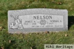 James A. Nelson