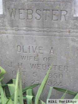 Olive Ann Heffelfinger Webster