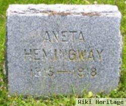 Rose Anita "aneta" Hemingway