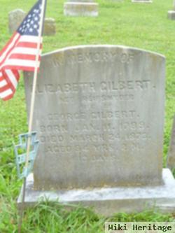 Elizabeth Reifsnyder Gilbert