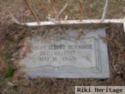 Charles Albert Burnside