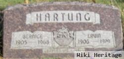 Ervin Herman Hartung