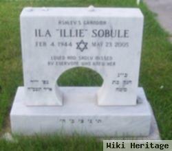 Ila "illie" Sobule