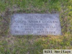 Joseph Andre Goguen