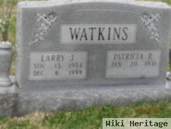 Larry J Watkins