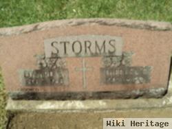 Edward W Storms