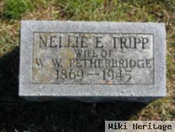 Nellie E Tripp Petherbridge