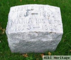 Maria Plate