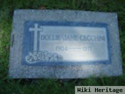 Dollie Jane Cecchini