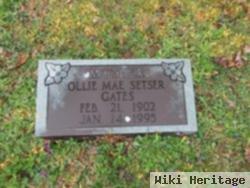 Ollie Mae Eldridge Gates