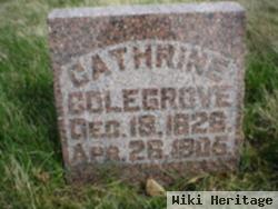 Catherine Corey Colegrove