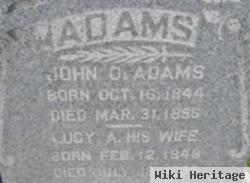 Lucy A. Sportsman Adams