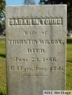 Sarah M. Young Wilcox