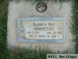 Elizabeth Ann Hakanson