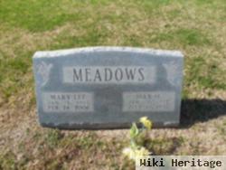 Max Hilburn Meadows