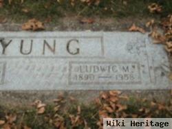 Ludwig M. Yung