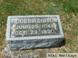 Robert Gibson